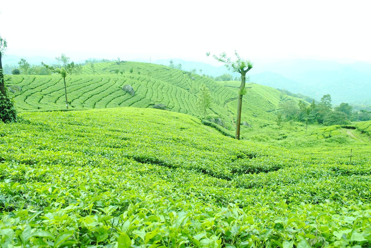 Tranquil Valley Resort Munnar Exterior foto