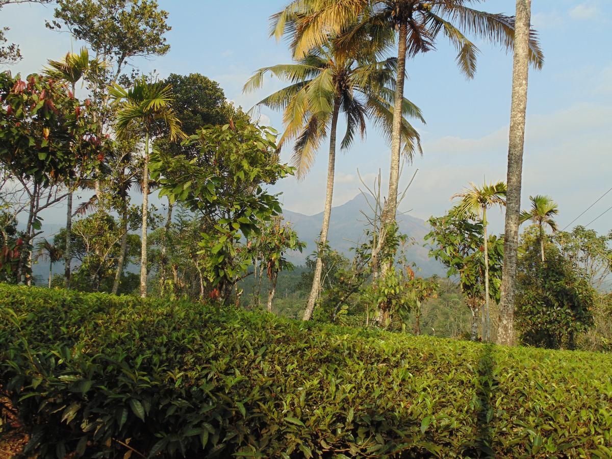 Tranquil Valley Resort Munnar Exterior foto